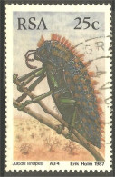 XW01-2180 RSA South Africa Insecte Insect Coleopter Scarabée Beetle Insekt Julodis - Gebruikt
