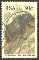 XW01-2176 RSA South Africa Insecte Insect Coleopter Scarabée Beetle Insekt Ceroplesis - Usati