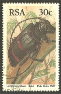 XW01-2177 RSA South Africa Insecte Insect Coleopter Scarabée Beetle Insekt Ceroplesis - Usati