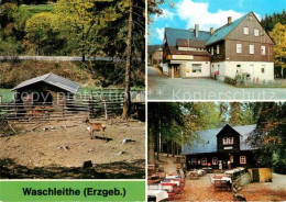 72678559 Waschleithe Tierpark Gaststaette Osterlamm Koehlerhuette Beierfeld Erzg - Grünhain