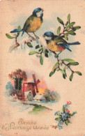 FETES - VOEUX - Nouvel An - Bonne Heureuse Année - Deux Oiseaux - Carte Postale Ancienne - Nouvel An