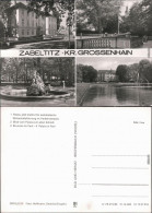 Ansichtskarte Zabeltitz-Großenhain Palais, Alten Schloß, Park, Brunnen 1979 - Grossenhain