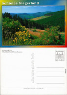 Ansichtskarte Hilchenbach Landschaft Bei Hilchenbach-Oechelhausen 1985 - Hilchenbach