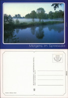 Lübben (Spreewald) Lubin Morgens Im Spreewald - Kanal Im Nebel 1995 - Luebben (Spreewald)