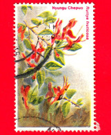 KENIA - Usato - 1983 - Fiori - Ruttya Fruticosa - 5 Sh - Kenya (1963-...)