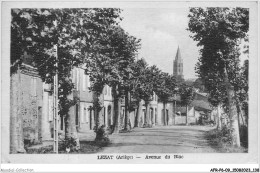 AFRP6-09-0516 - LEZAT - Ariège - Avenue Du Biac - Lezat Sur Leze