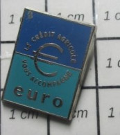 AB1 Pin's Pins / Beau Et Rare / ARTHUS BERTRAND / EURO LE CREDIT AGRICOLE VOUS ACCOMPAGNE - Arthus Bertrand