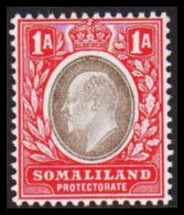 1904. SOMALILAND PROTECTORATE. Edward VII. 1 A Hinged. (Michel 21) - JF542559 - Somaliland (Protectorat ...-1959)