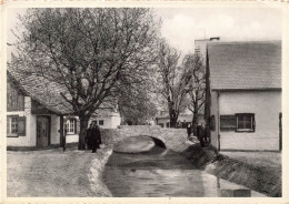 BELGIQUE - Vue Générale En Se Promenant Au "Gay Village Mosan" - Arch M Duesberg - Animé - Carte Postale Ancienne - Luik