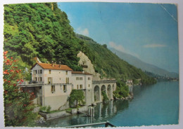 SUISSE - TESSIN - BRISSAGO - Lago Maggiore - Brissago