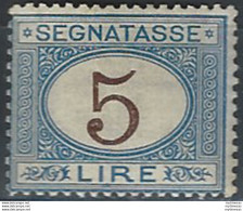 1874 Italia Segnatasse Lire 5 Azzurro Bruno Mc MNH Sassone N. 13 - Other & Unclassified
