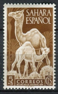 SAHARA ESPAÑOL DÍA DEL SELLO 1951 Yv SH 79 MNH - Spanische Sahara