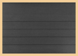 Kobra Steckkarten Mit Deckblatt VT5, 100 Stück Neu ( - Cartoncini A Listelli