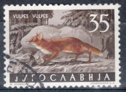 Yugoslavia 1960 Single Local Fauna - Mammals In Fine Used. - Usados