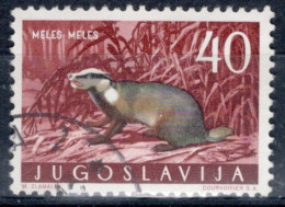 Yugoslavia 1960 Single Local Fauna - Mammals In Fine Used. - Used Stamps