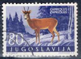 Yugoslavia 1960 Single Local Fauna - Mammals In Fine Used. - Oblitérés