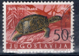Yugoslavia 1962 Single Amphibians & Reptiles In Fine Used. - Used Stamps
