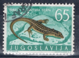 Yugoslavia 1962 Single Amphibians & Reptiles In Fine Used. - Oblitérés