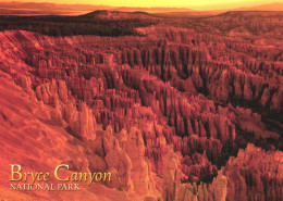 BRYCE CANYON NATIONAL PARK, UTAH, UNITED STATES, POSTCARD - Other & Unclassified