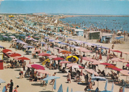 Cartolina Sottomarina ( Chioggia ) Spiaggia - Chioggia