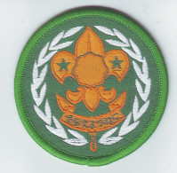 B 16 - 2 JAPAN Scout Badge  - Scoutismo