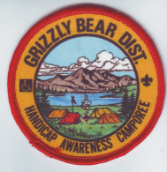 B 16 - 67 USA Scout Badge  - Padvinderij