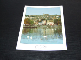 70034-           CORK - Cork
