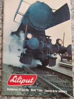 Train Chemin Fer Rail Locomotive Wagon Bahnspass Zug Gleise Catalogue Katalog Liliput 1975 - Duitsland