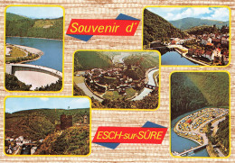 LUXEMBOURG - Souvenir D'Esch Sur Sûre - Château - Multivues - Pont - Village - Carte Postale - Esch-sur-Sure