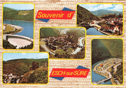 LUXEMBOURG - Souvenir D'Esch Sur Sûre - Château - Multivues - Pont - Village - Carte Postale - Esch-Sauer