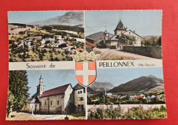 74 PEILLONNEX / Multivues 2 - Peillonnex