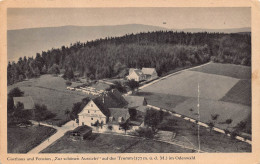 Tromm / Odenwald, Gasthaus-Pension "Zur Schönen Aussicht", Flugzeugaufnahme (931) - Odenwald