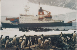 Germany FS Polarstern "Grusse Von Der Ruckreise Aus Antarktis" Signature Postcard Ca Polarstern 24.08.2002 (JS174) - Polar Ships & Icebreakers