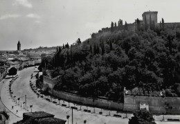 CESENA - VIALE  MAZZONI - 1953 - Cesena