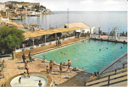 Ceuta - Piscina Club Natacion Caballa Natation Clus Swimming Piscine Parfait état - Ceuta