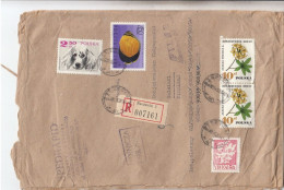 GOOD POLAND " REGISTERED "  Postal Cover To FINLAND 1969  - Good Stamped: Fish ; Dog ; Flowers - Brieven En Documenten