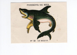 Chromo Poissons De Mer Le Requin TB Pub: Produits Casino  2 Scans - Autres & Non Classés