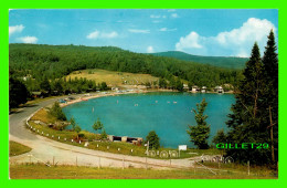 WESTMORE, VT - WILLOUGHBY BEACH ON LAKE WILLOUGHBY - RICHARDSON STUDIO - CURTEICHCOLOR - - Altri & Non Classificati