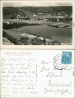 Diesbar (Elbe)-Nünchritz (Elbe) Blick Auf Den Ort, Elbe, Golkwald 1955 - Diesbar-Seusslitz