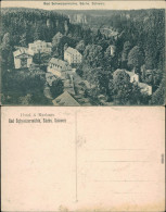 Ansichtskarte Bad Schweizermühle-Rosenthal-Bielatal Blick Auf Den Ort 1916 - Rosenthal-Bielatal