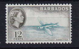 Barbados: 1964/65   QE II - Pictorial   SG315    12c  [Wmk: Block Crown CA]     MNH - Barbades (...-1966)