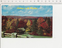 Autumn In The Pocomos - Pocono Mountains In Pennsylvania USA  / CP VFL 68/2 - Sonstige & Ohne Zuordnung