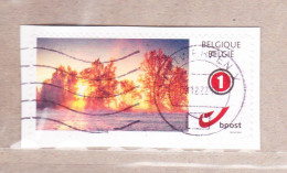 2011 Nr 4182/83 Duo-stamp / My Stamp,gestempeld Op Fragment. - Usati