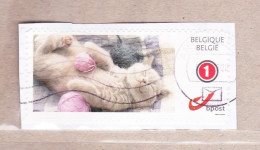 2011 Nr 4182/83 Duo-stamp / My Stamp,gestempeld Op Fragment. - Used Stamps