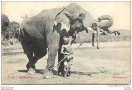 CEYLON ELEPHANTS - Sri Lanka (Ceylon)