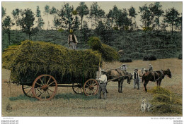 LA RENTREE DES BLES - Landbouwers