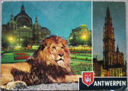 BELGIUM BELGIQUE ANVERS ANTWERPEN CENTRAL TRAIN STATION LION POSTCARD CARTE POSTALE POSTKARTE CARTOLINA CARD - Avenues, Boulevards