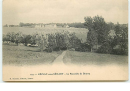 EPINAY SOUS SENART - La Passerelle De Boussy - Epinay Sous Senart