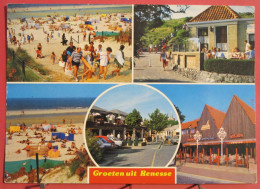 Pays Bas - Groeten Uit Renesse - Renesse