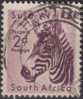 1954 Südafrika ° Mi:ZA 242, Sn:ZA 203, Yt:ZA 204, Mountain Zebra (Equus Zebra) - Usati